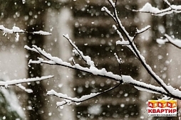В ночь на 12 января на Кубань придут морозы и снегопад